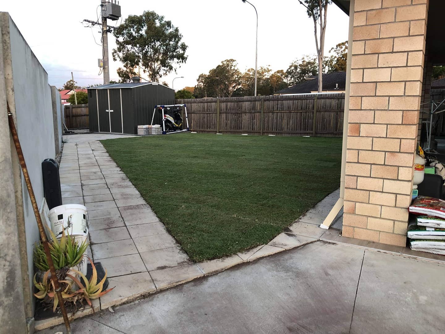 Fresh Empire Zoysia Feels: The Ultimate Lawn Transformation in Slacks Creek