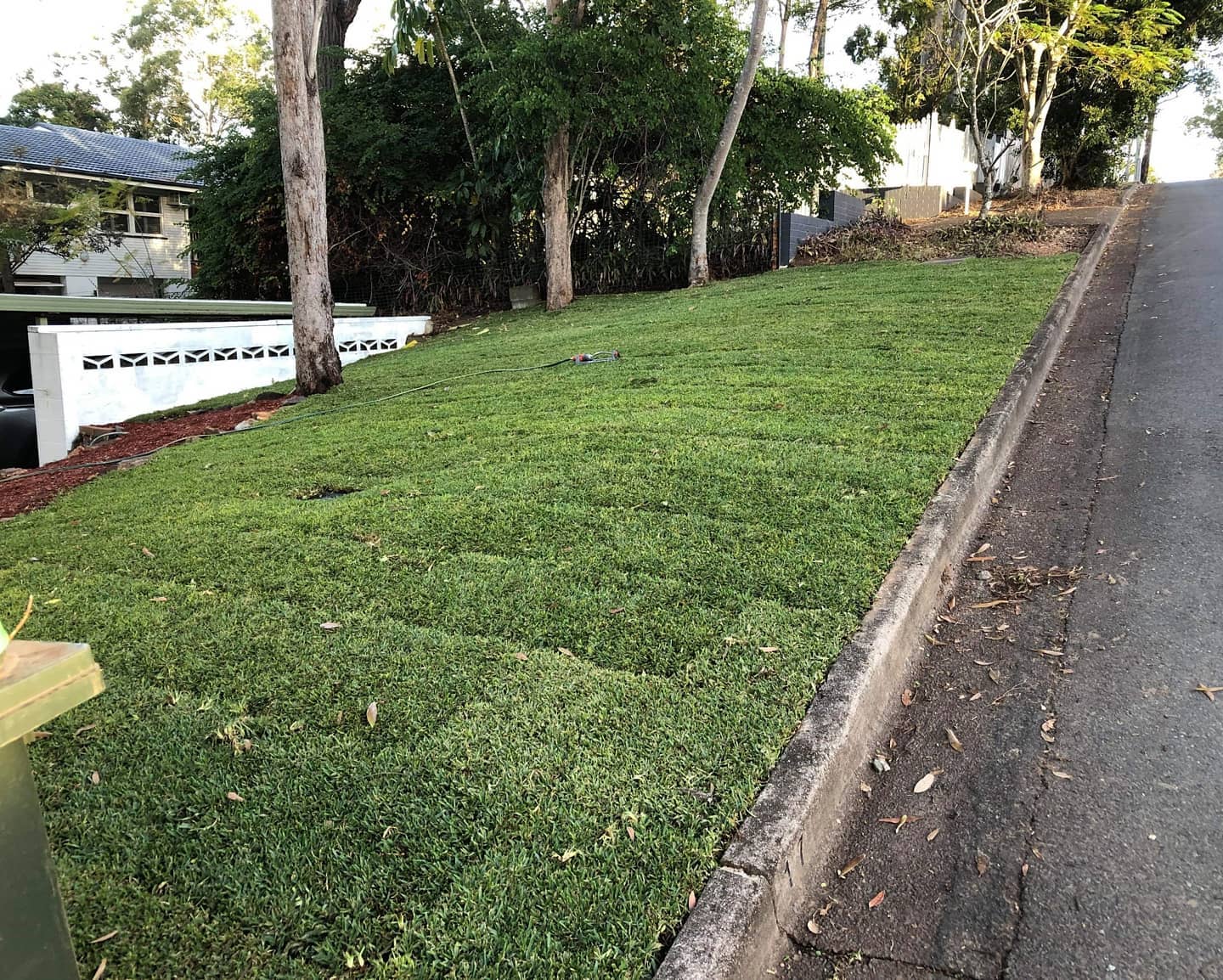 Next, Rogers Little Loaders laid down a new turf, instantly transforming the barren ground into a lush, green carpet. The vibrant turf provided a stark contrast to the previous state of the yard, creating an inviting and well-maintained appearance.