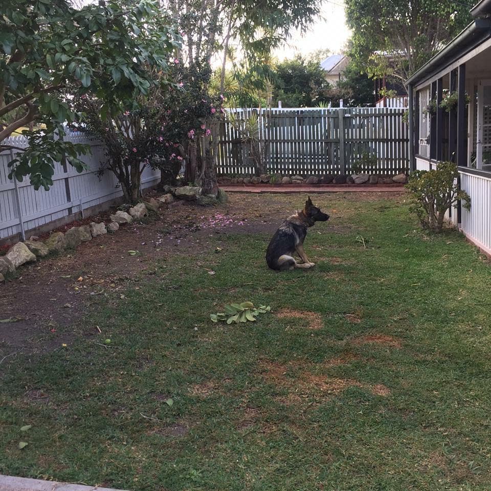 Preparation is key to new grass