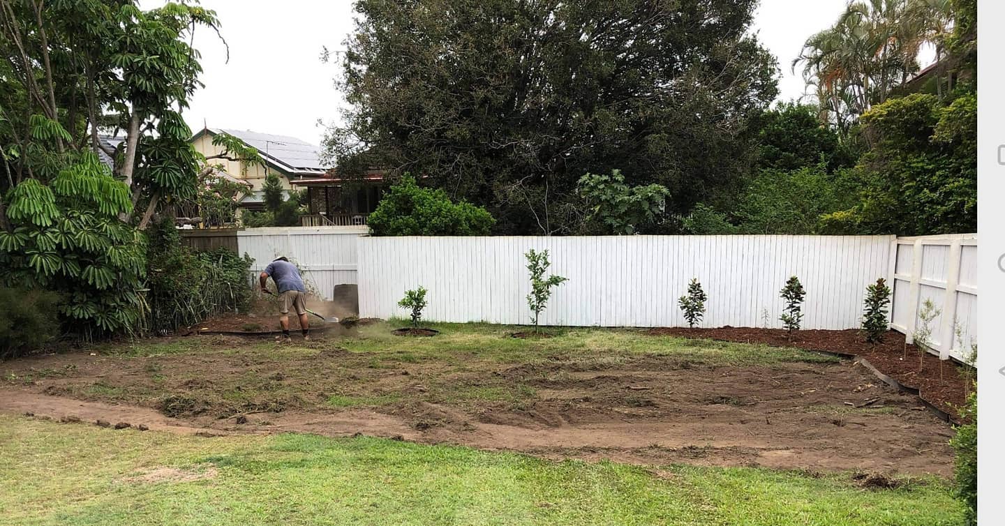 Lawn Replacement Services: Revitalize Your Brisbane Backyard