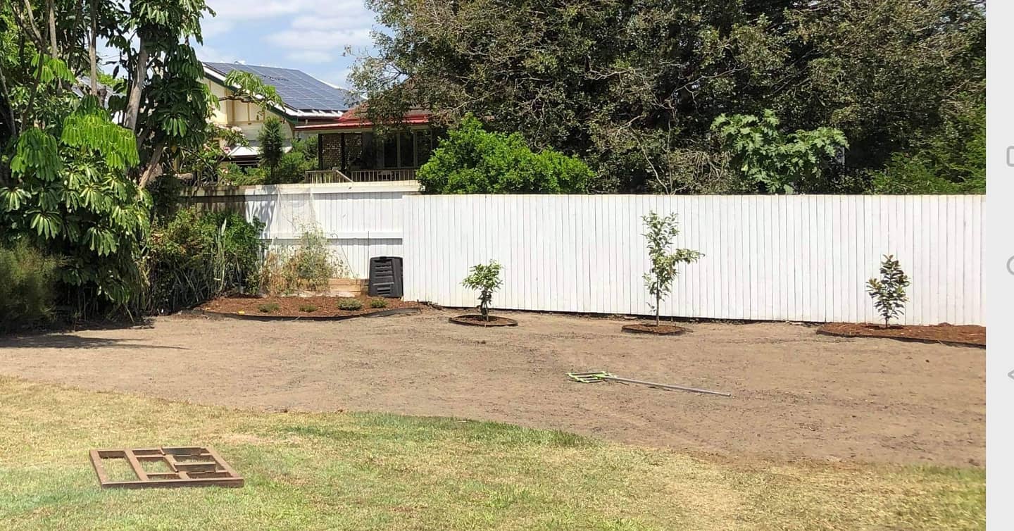 Lawn Replacement Services: Revitalize Your Brisbane Backyard