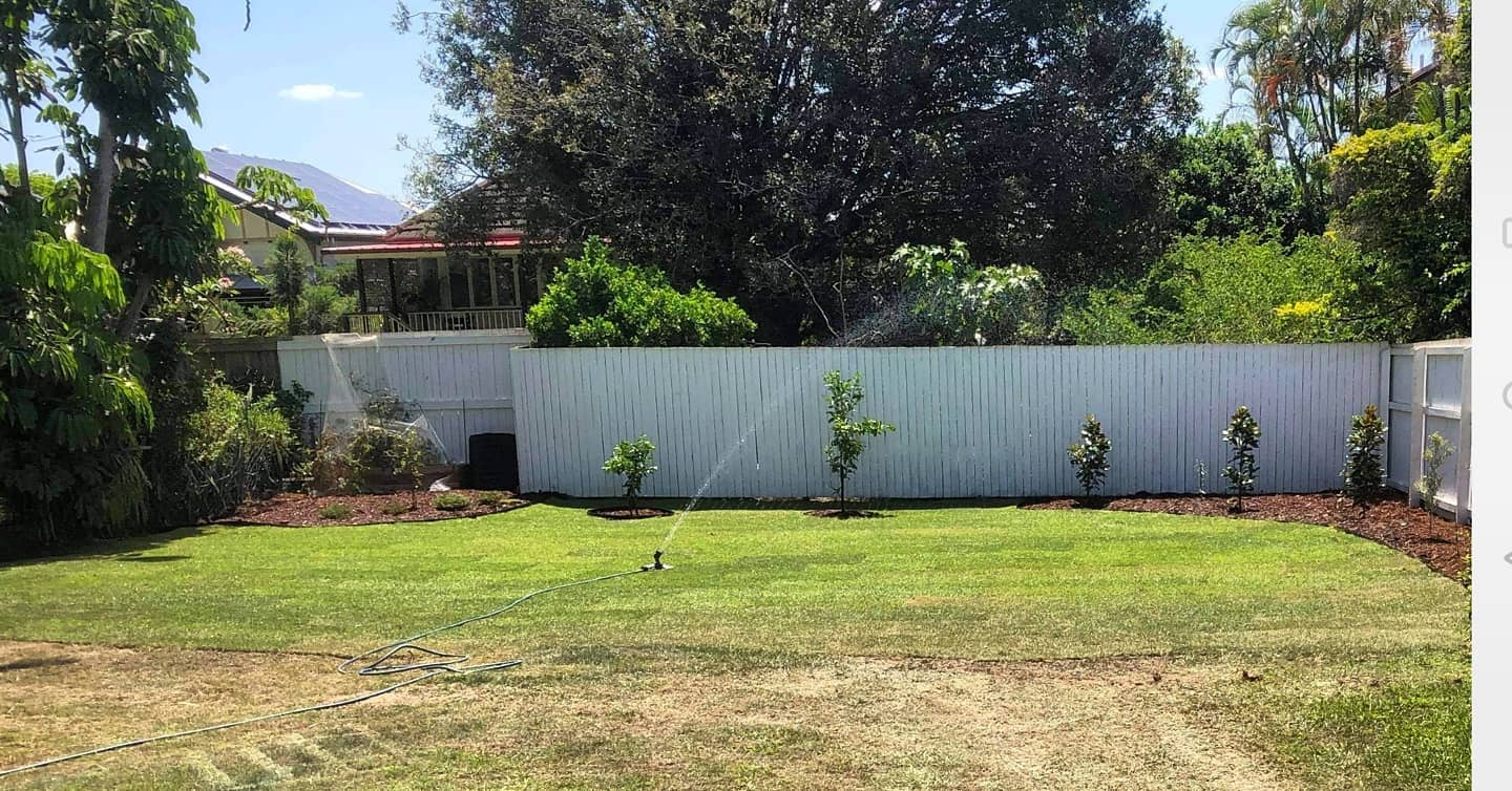 Lawn Replacement Services: Revitalize Your Brisbane Backyard