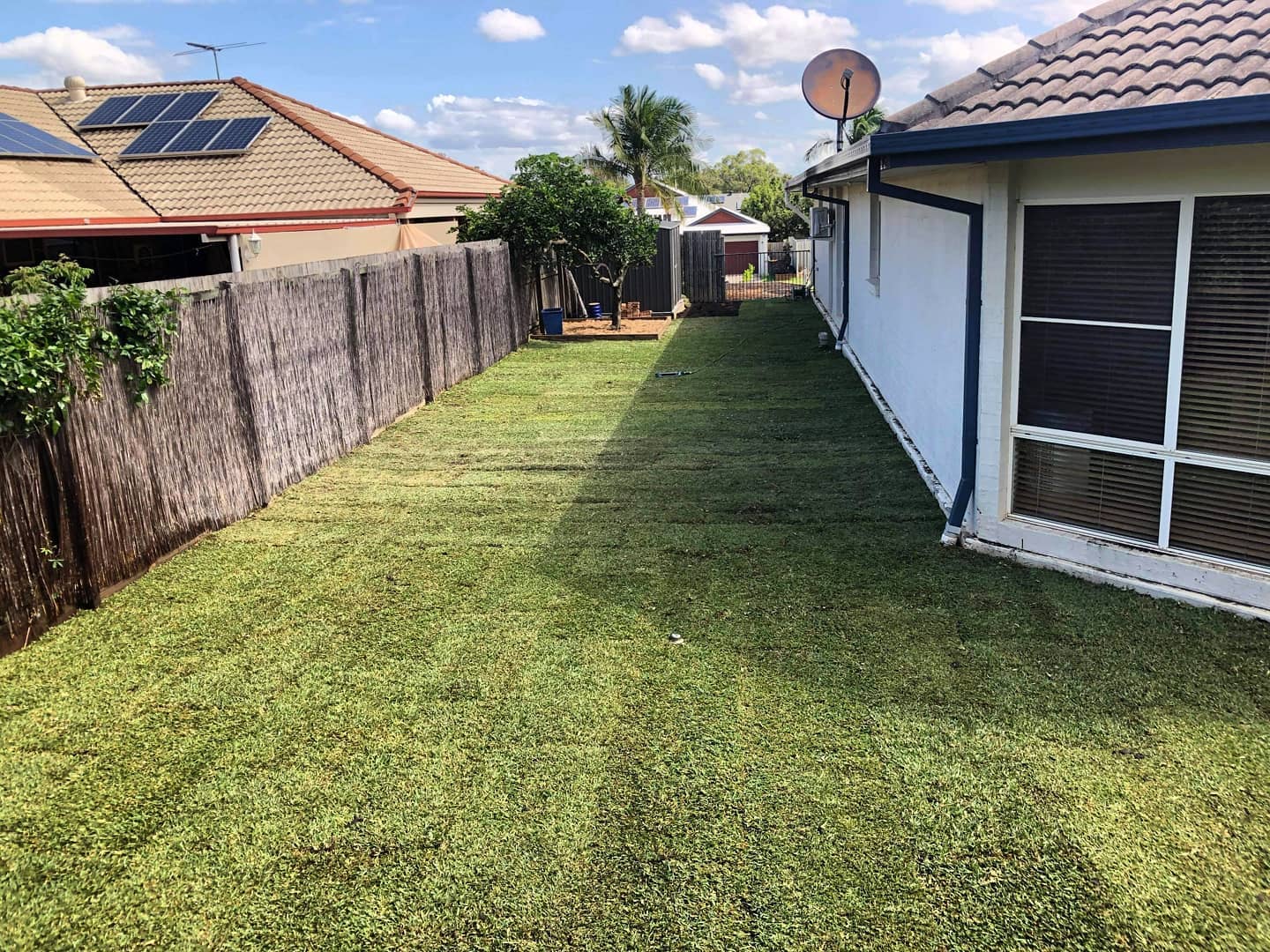 Breathe New Life into Your Backyard: A Guide to Buffalo Palmetto Returfing