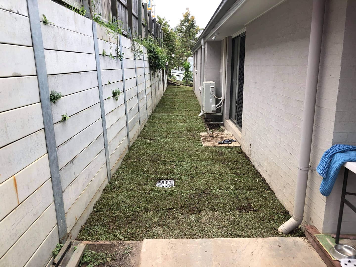 The final stage of the project involved returfing the entire area. Rogers Little Loaders opted for buffalo palmetto sourced from Brisbane Turf.