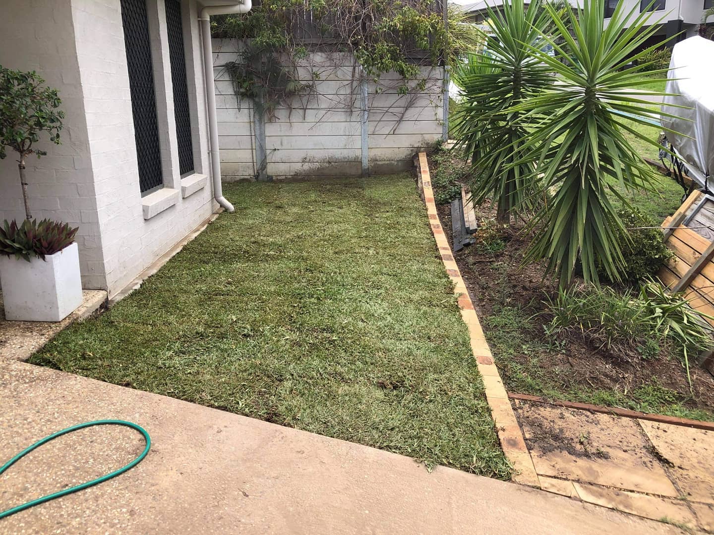 The final stage of the project involved returfing the entire area. Rogers Little Loaders opted for buffalo palmetto sourced from Brisbane Turf.