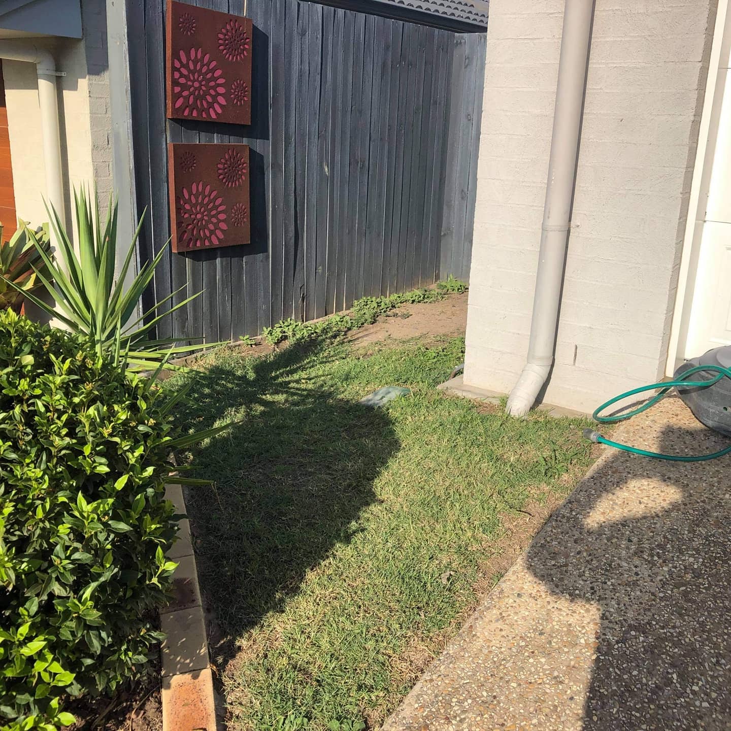 Stepping stone paving creates a beautiful and inviting pathway through your backyard.