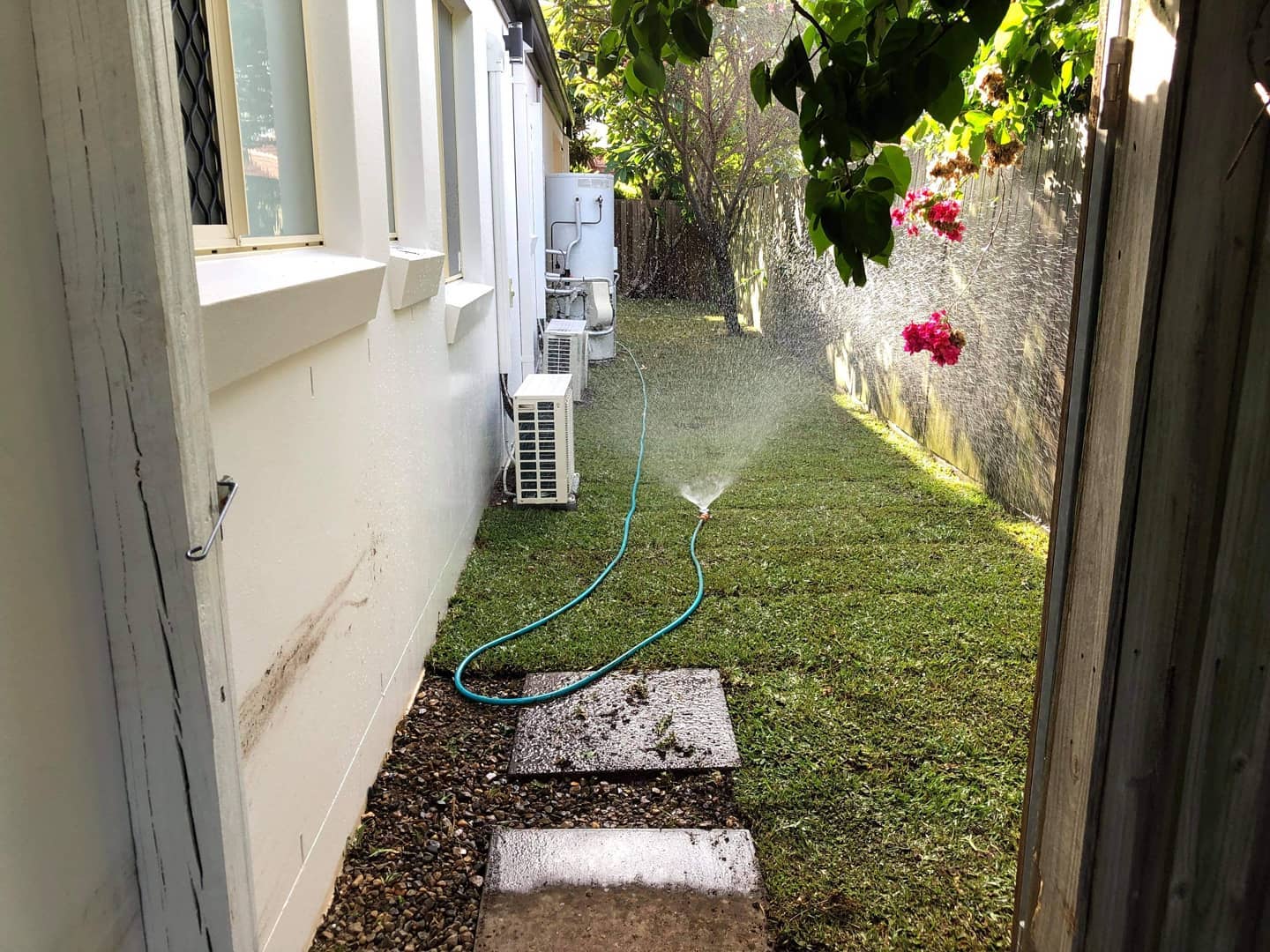 Has your yard turned into a forest? New turf yes please