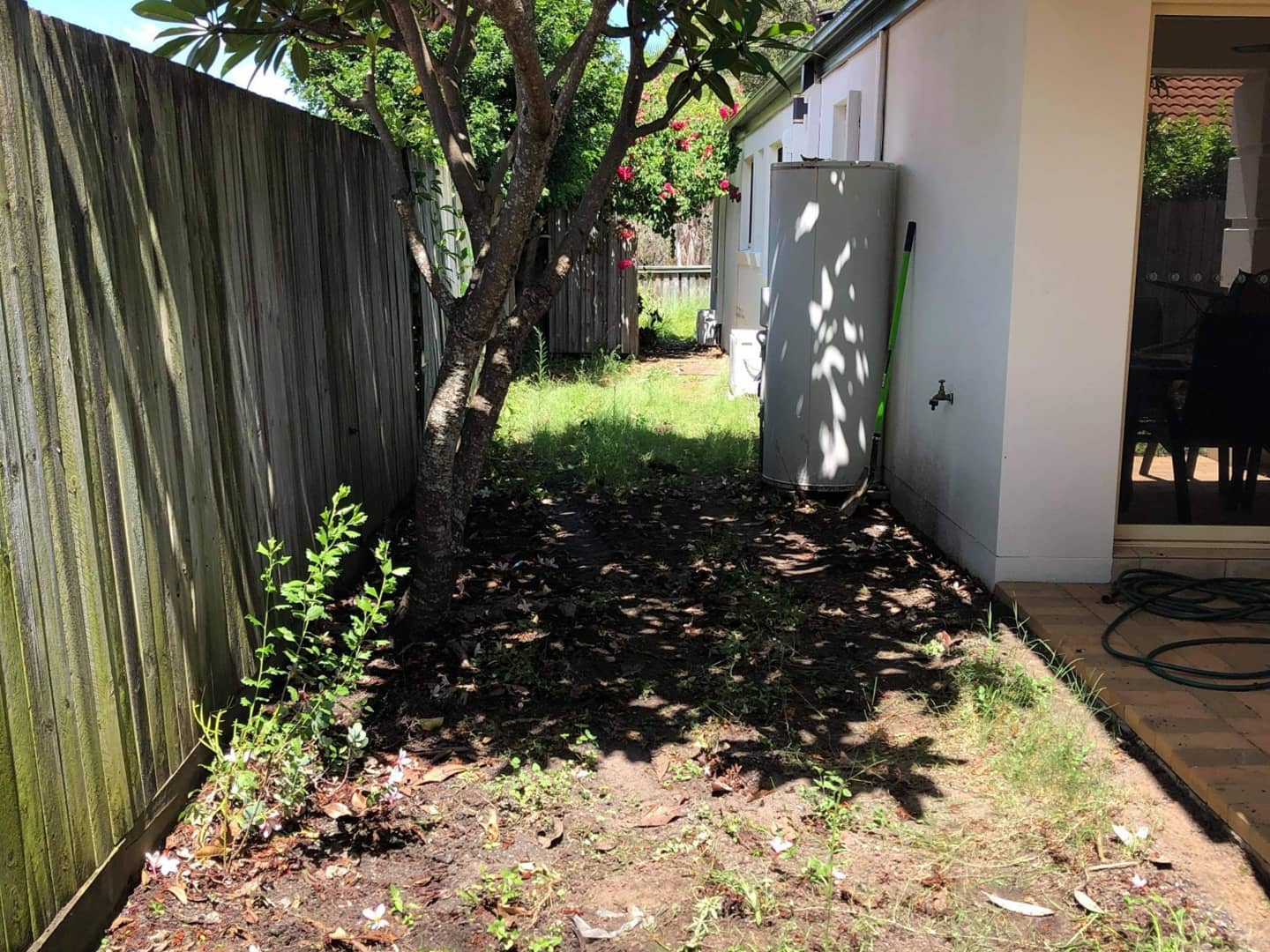 Has your yard turned into a forest? New turf yes please