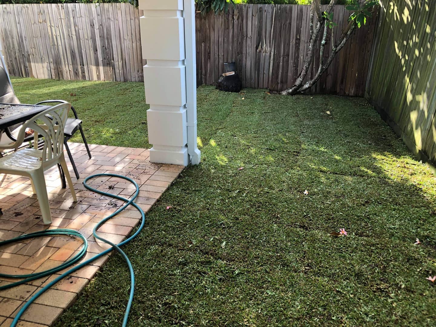 Has your yard turned into a forest? New turf yes please