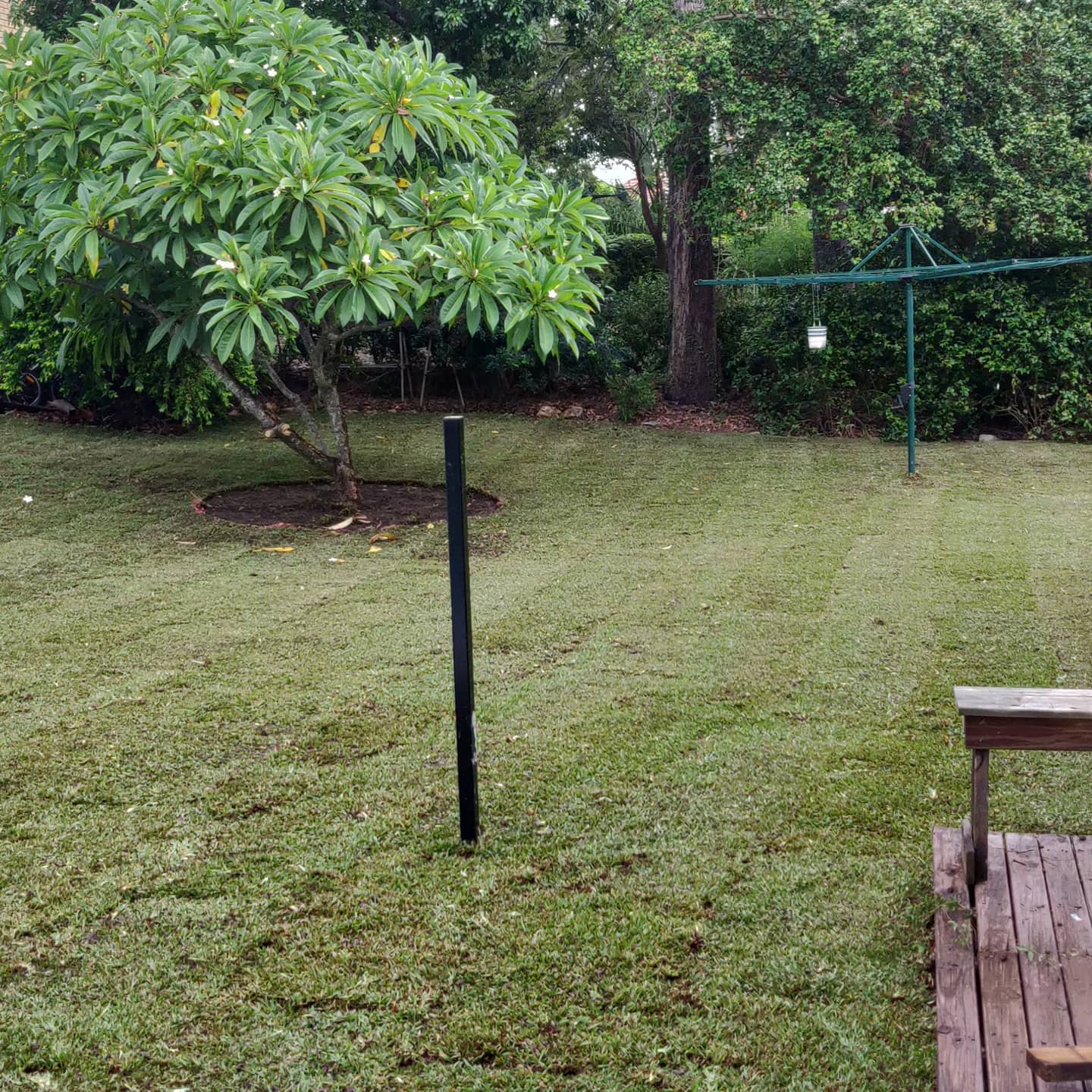 Massive 550m2 irrigation and returf (Backyard)